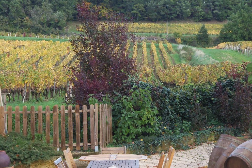 La Petite Madeleine Hotel Castillon-la-Bataille Buitenkant foto