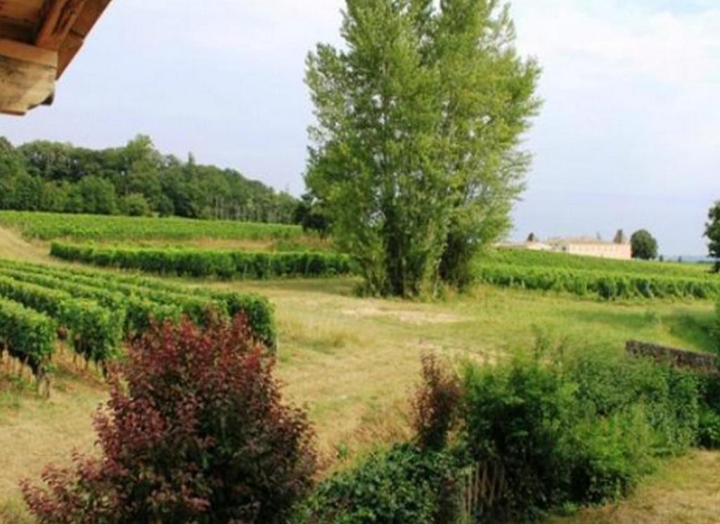 La Petite Madeleine Hotel Castillon-la-Bataille Buitenkant foto