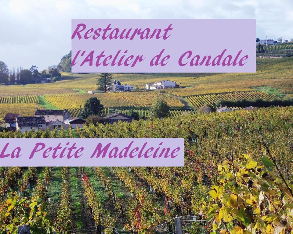La Petite Madeleine Hotel Castillon-la-Bataille Buitenkant foto